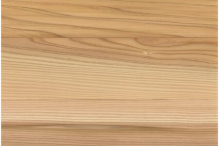 クリプトメリア